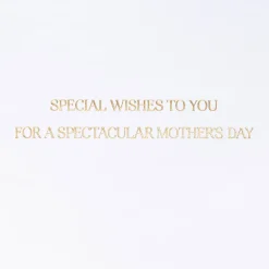 A Spectacular Day Mothers Day Greeting Card