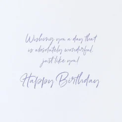 Absolutely Wonderful Birthday Greeting Card