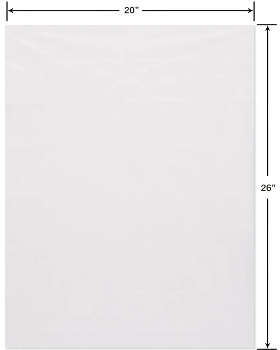 Basic Multicolor Assortment Tissue Paper, 20-Sheets