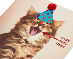 Cake Goes Here Funny Cat Birthday Greeting Card