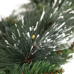 7′ Carolina Pine Frosted Tree