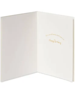Carried Away Birthday Greeting Card