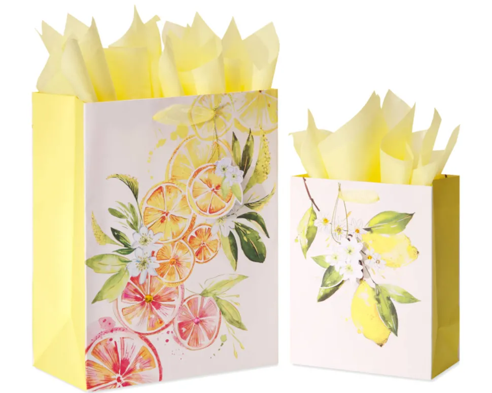 Citrus Gift Bags with Tissue Paper, 2 Bags, 8-Sheets