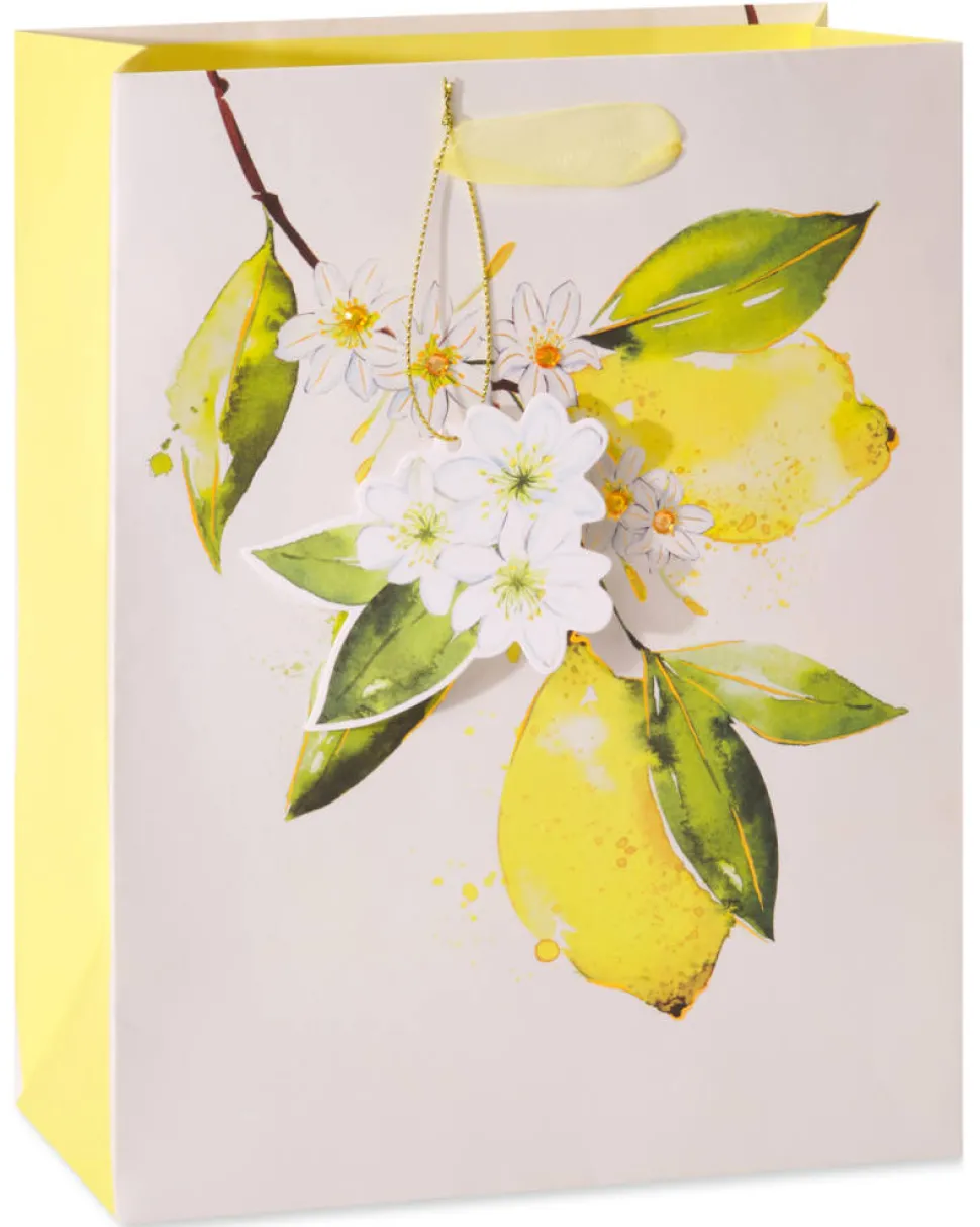 Citrus Gift Bags with Tissue Paper, 2 Bags, 8-Sheets