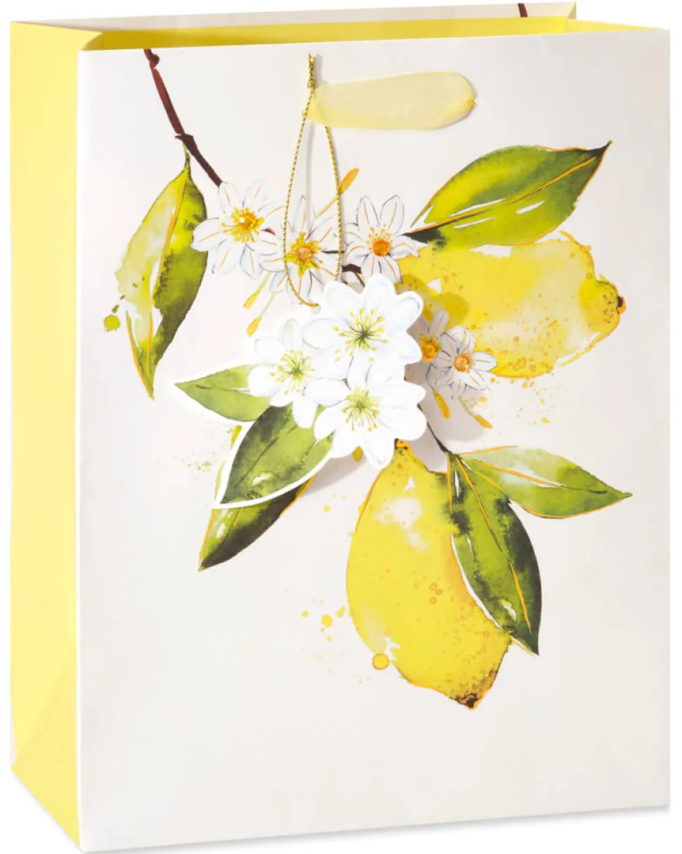 Citrus Medium Gift Bag, 1 Bag