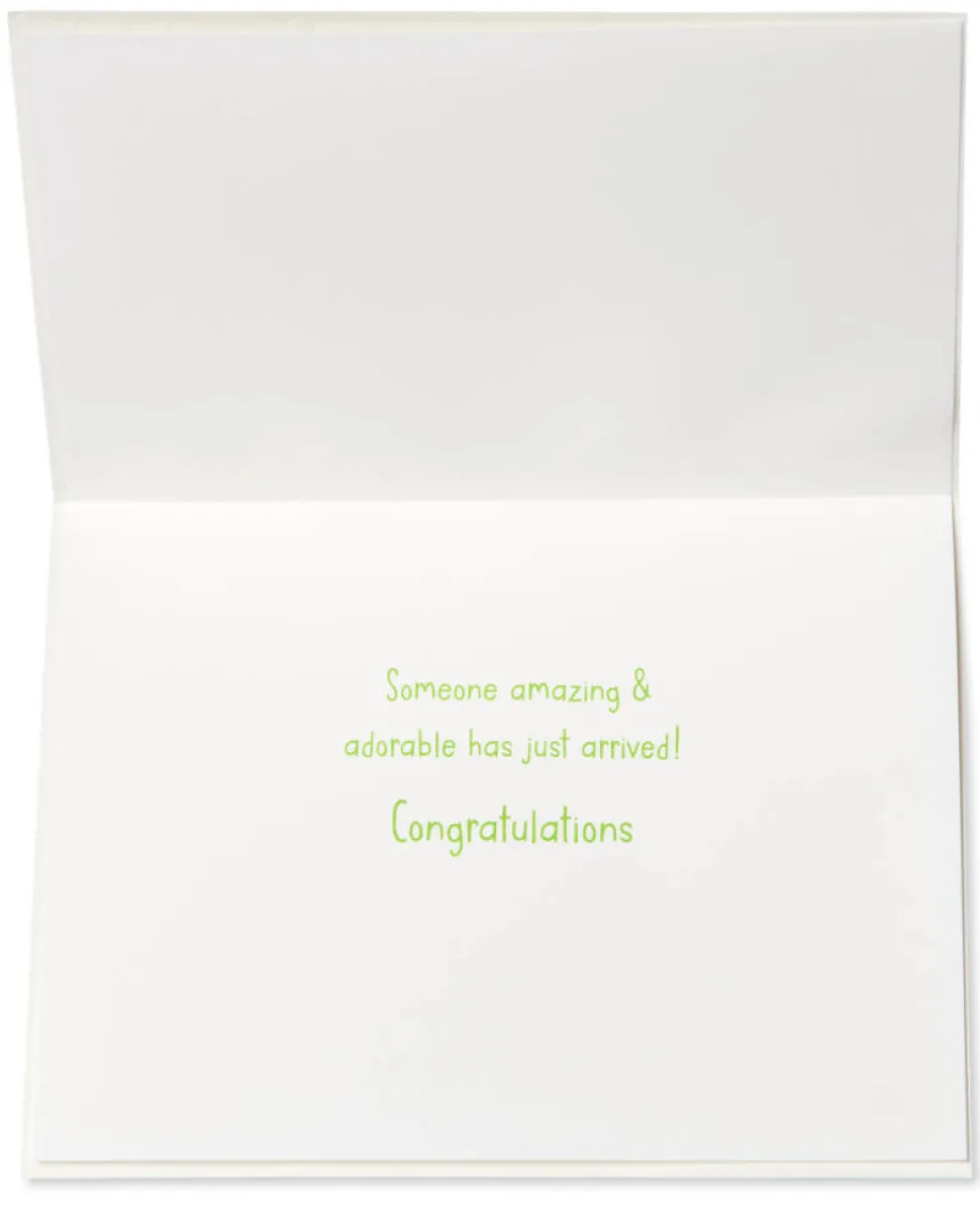 Critter Pull Along New Baby Greeting Card – Designed by House of Turnowsky