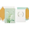 Crocus and Peace Sympathy Greeting Card Bundle, 2-Count