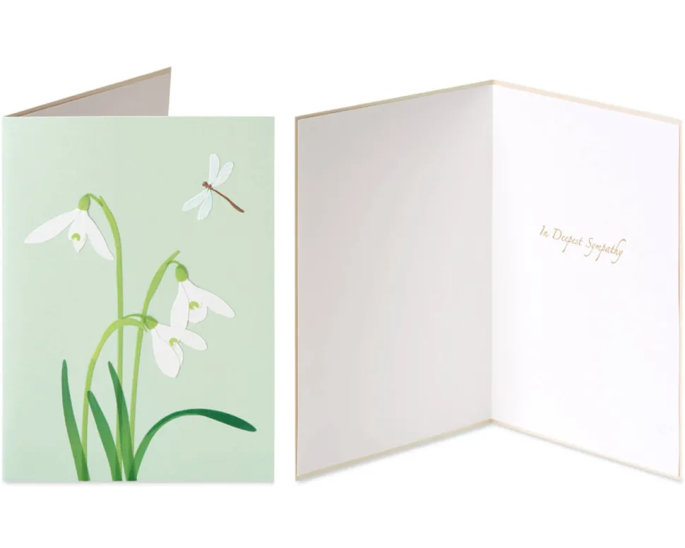 Crocus and Peace Sympathy Greeting Card Bundle, 2-Count
