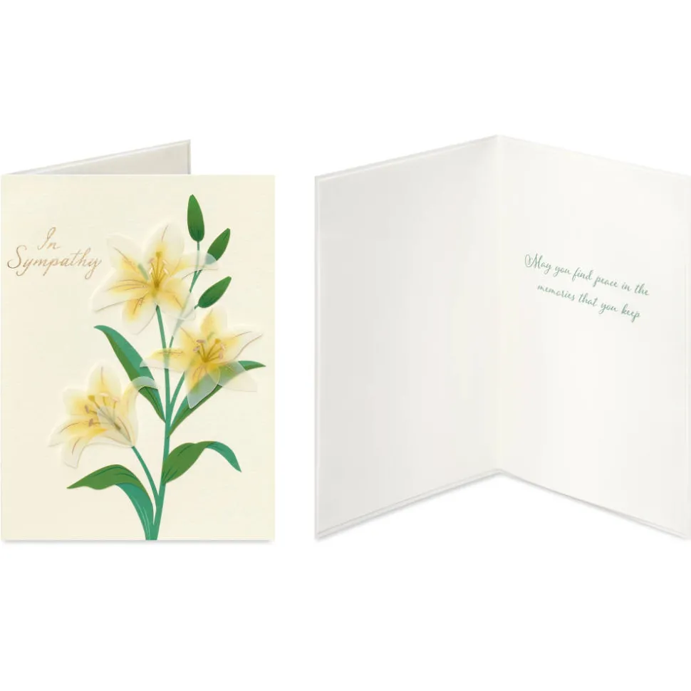 Flowers and Butterflies Sympathy Card Assortment, 4-Count