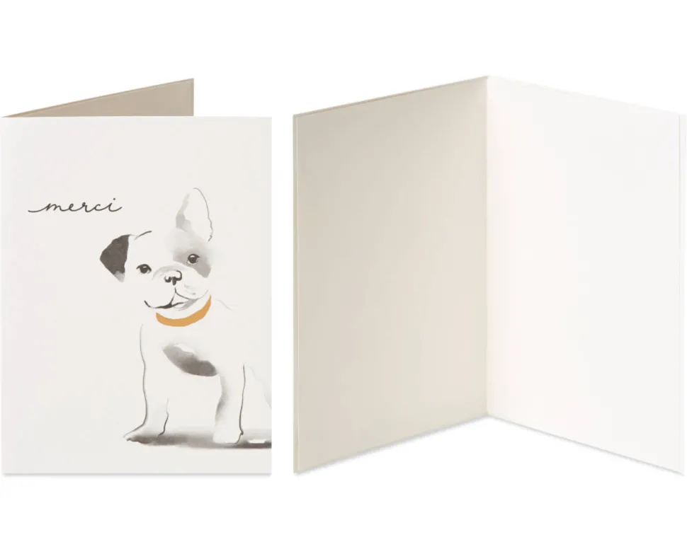Frenchie Dog and Daisies Thank You Greeting Card Bundle, 2-Count