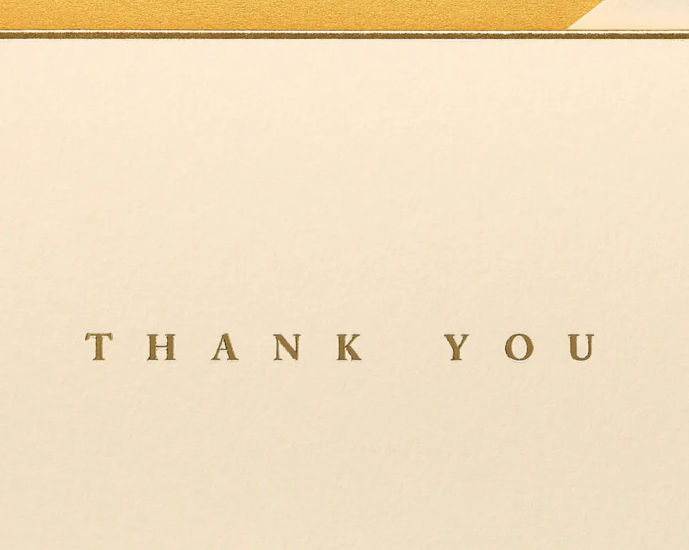 Gold Border Thank You Boxed Blank Note Cards and Envelopes, 16-Count