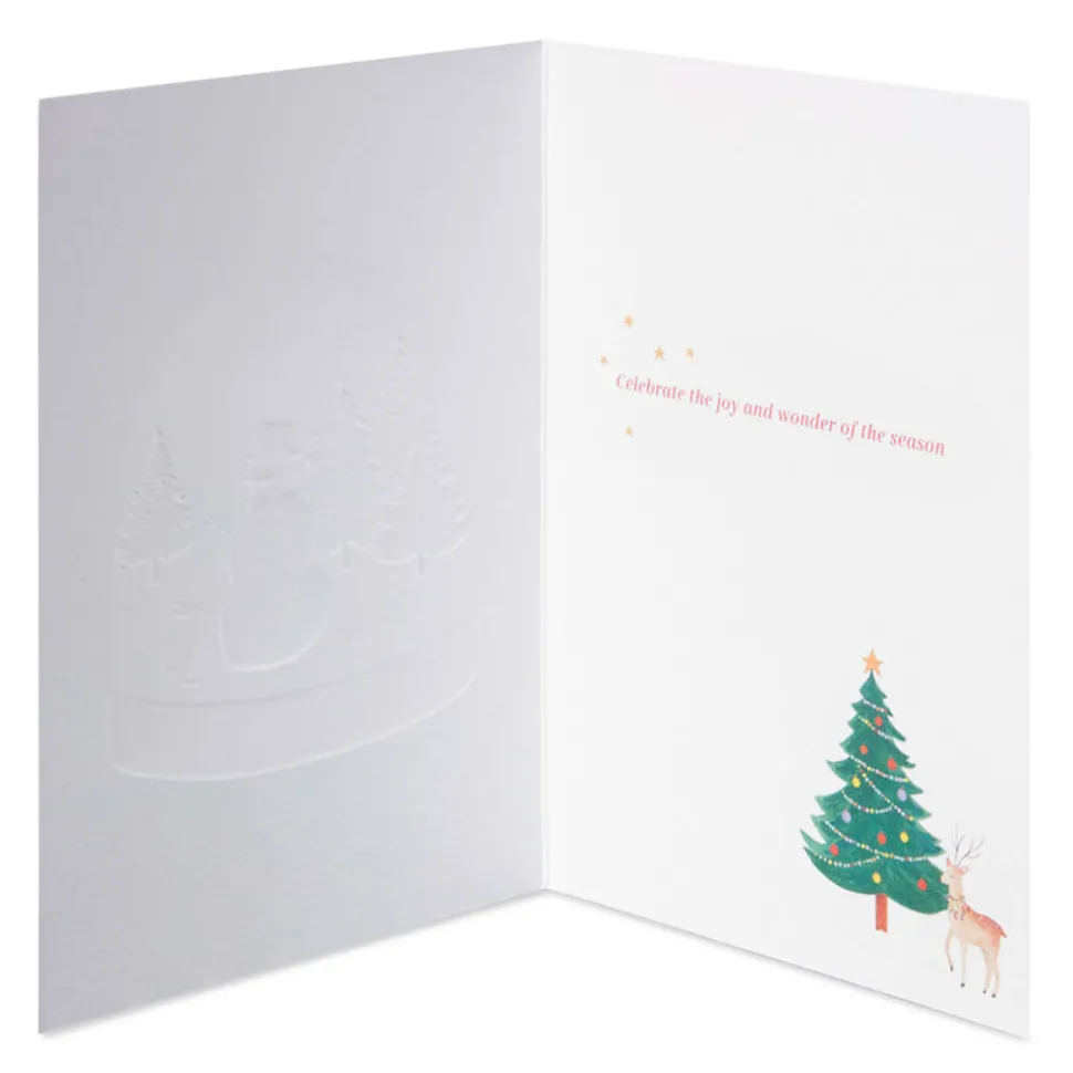 Joy and Wonder Christmas Boxed Cards with Envelopes, 12-Count