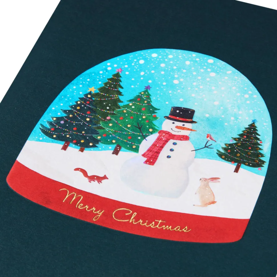Joy and Wonder Christmas Boxed Cards with Envelopes, 12-Count