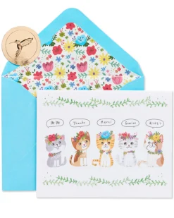 Kittens Thank You Boxed Blank Note Cards with Envelopes, 20-Count