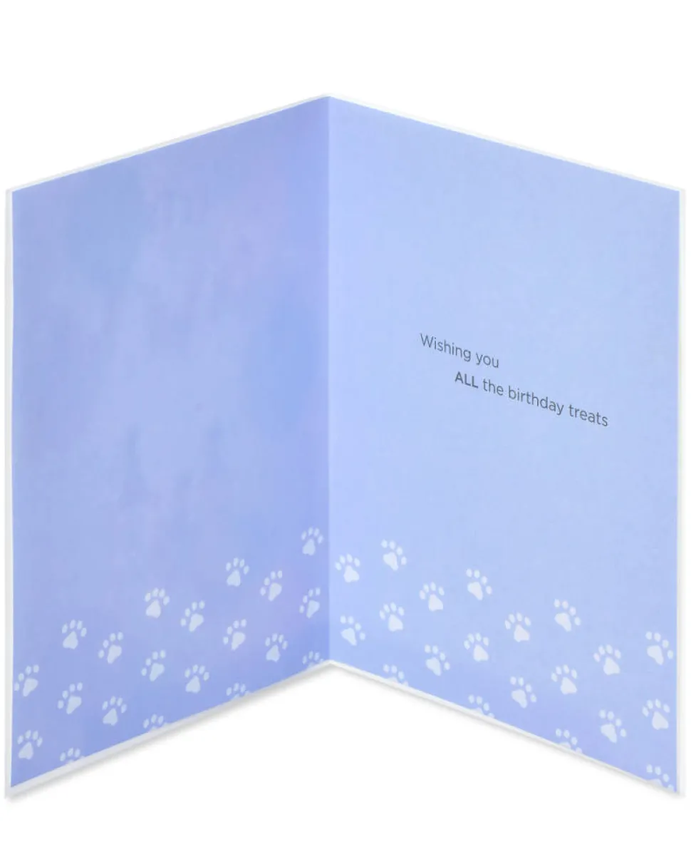 Let’s Pawty Dog Birthday Greeting Card