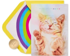 Live in the Meow Birthday Greeting Card