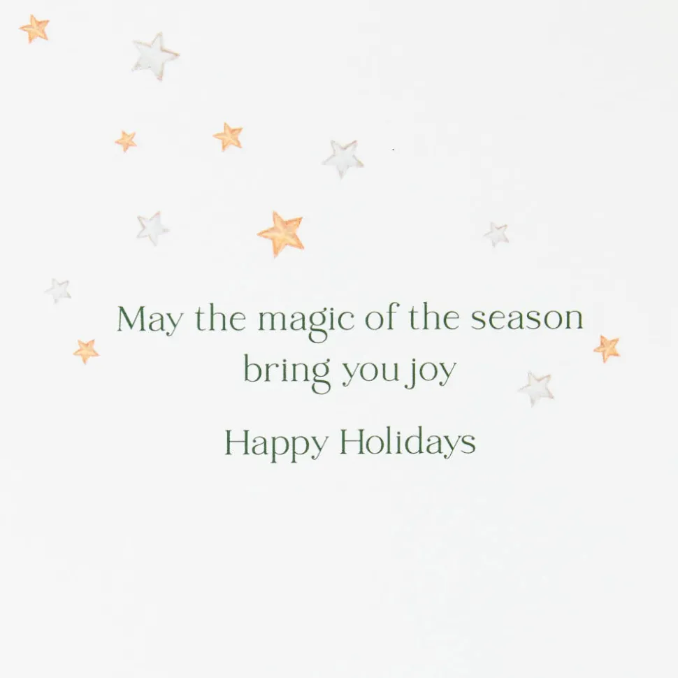 Magic Of The Season Christmas Boxed Cards with Envelopes, 14-Count