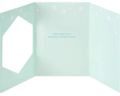 Many Wishes Christmas Greeting Card
