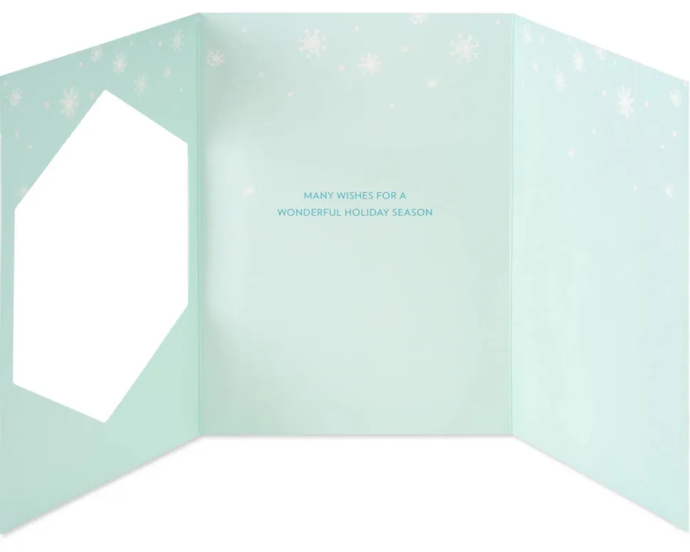 Many Wishes Christmas Greeting Card