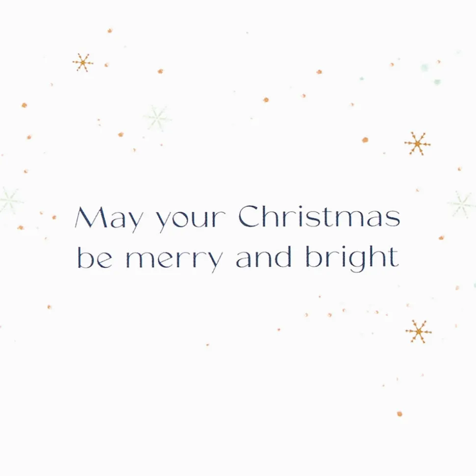 Merry and Bright Christmas Boxed Cards with Envelopes, 20-Count
