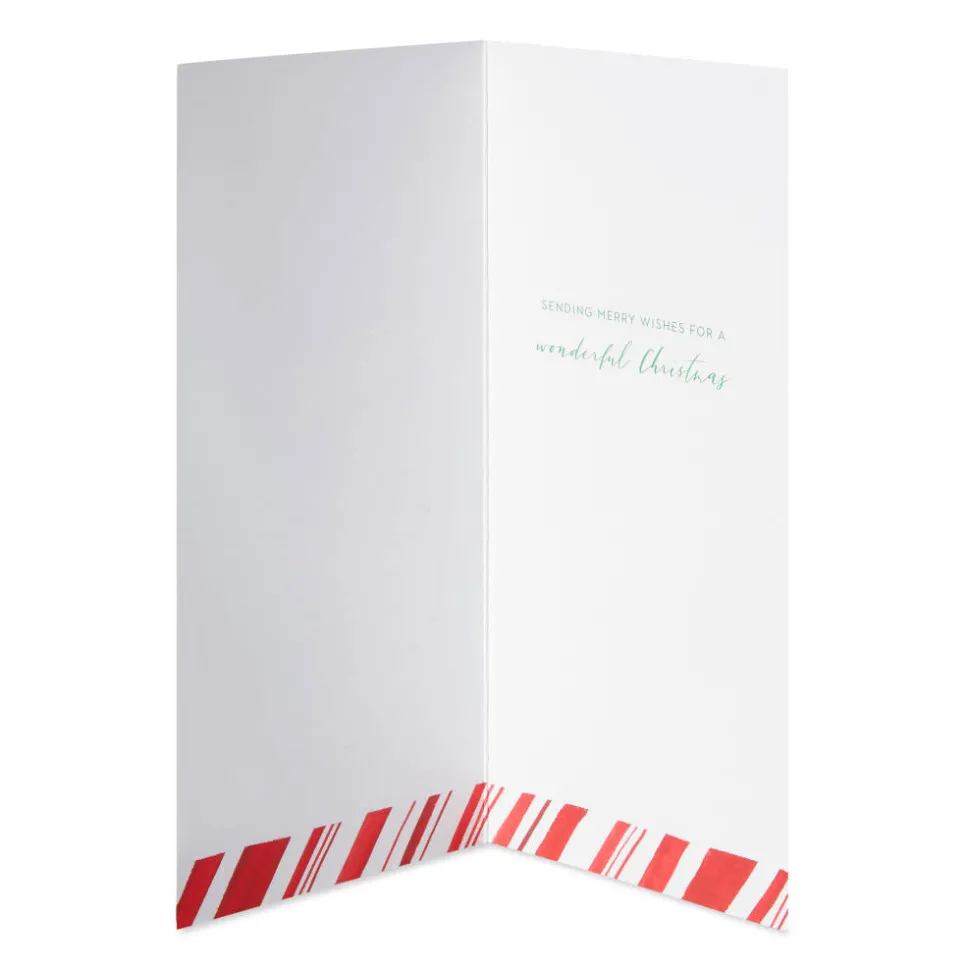 Merry Wishes Christmas Boxed Cards with Envelopes – Designed by Bella Pilar, 16-Count