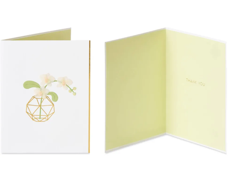 Message in a Bottle Thank You Greeting Card Bundle, 2-Count