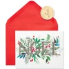 Noel and Holly Holiday Boxed Cards, 20-Count