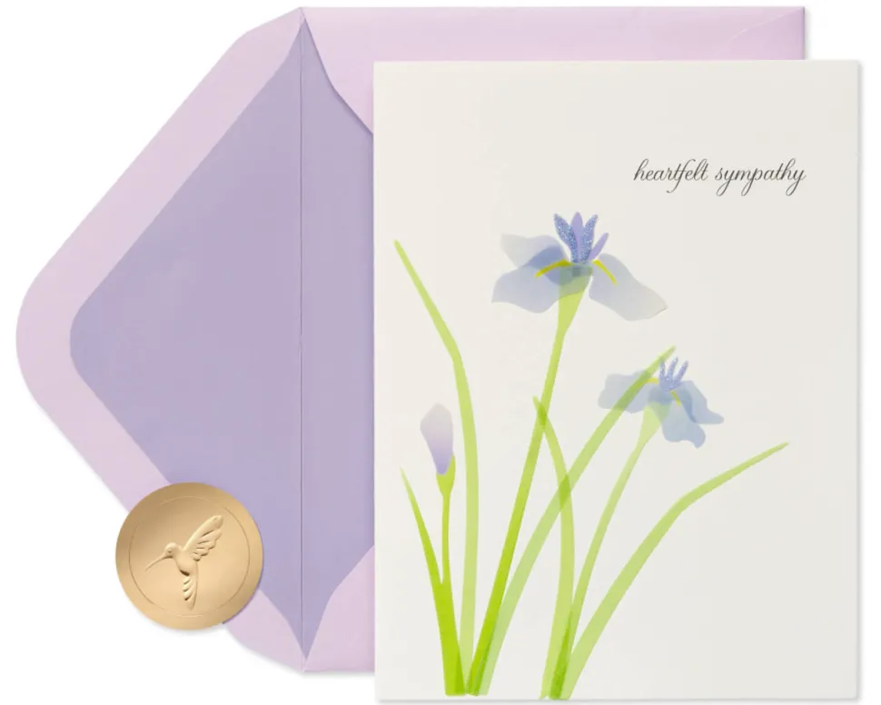 Our Deepest Sympathy and Our Love Sympathy Greeting Card