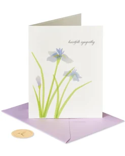 Our Deepest Sympathy and Our Love Sympathy Greeting Card