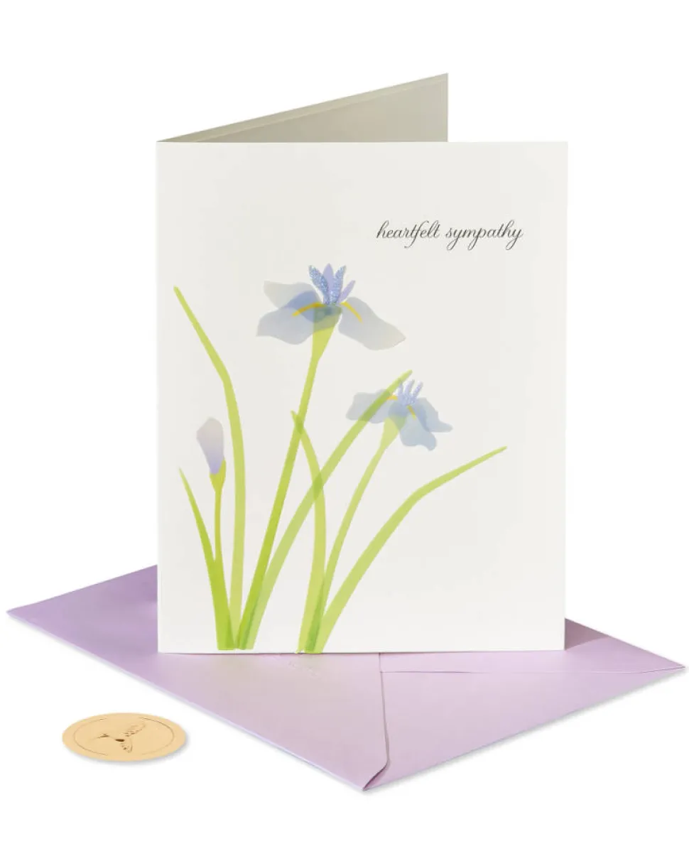 Our Deepest Sympathy and Our Love Sympathy Greeting Card