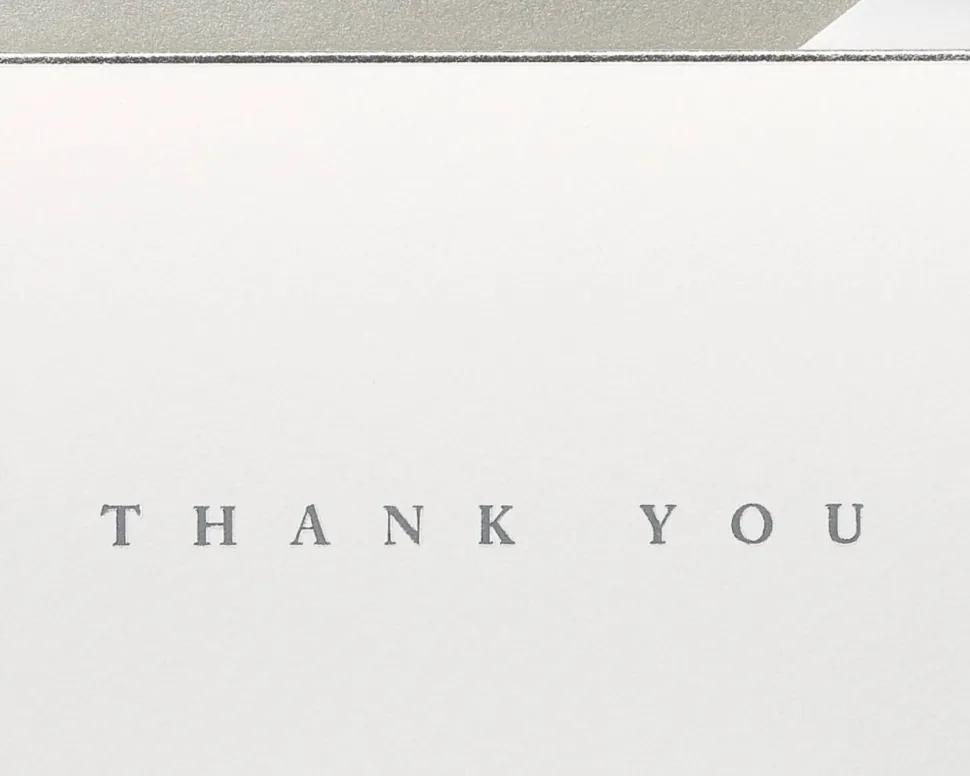 Silver Border Thank You Boxed Blank Note Cards and Envelopes, 16-Count