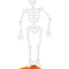 Skeleton Halloween Greeting Card