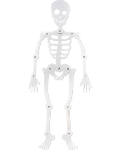 Skeleton Halloween Greeting Card