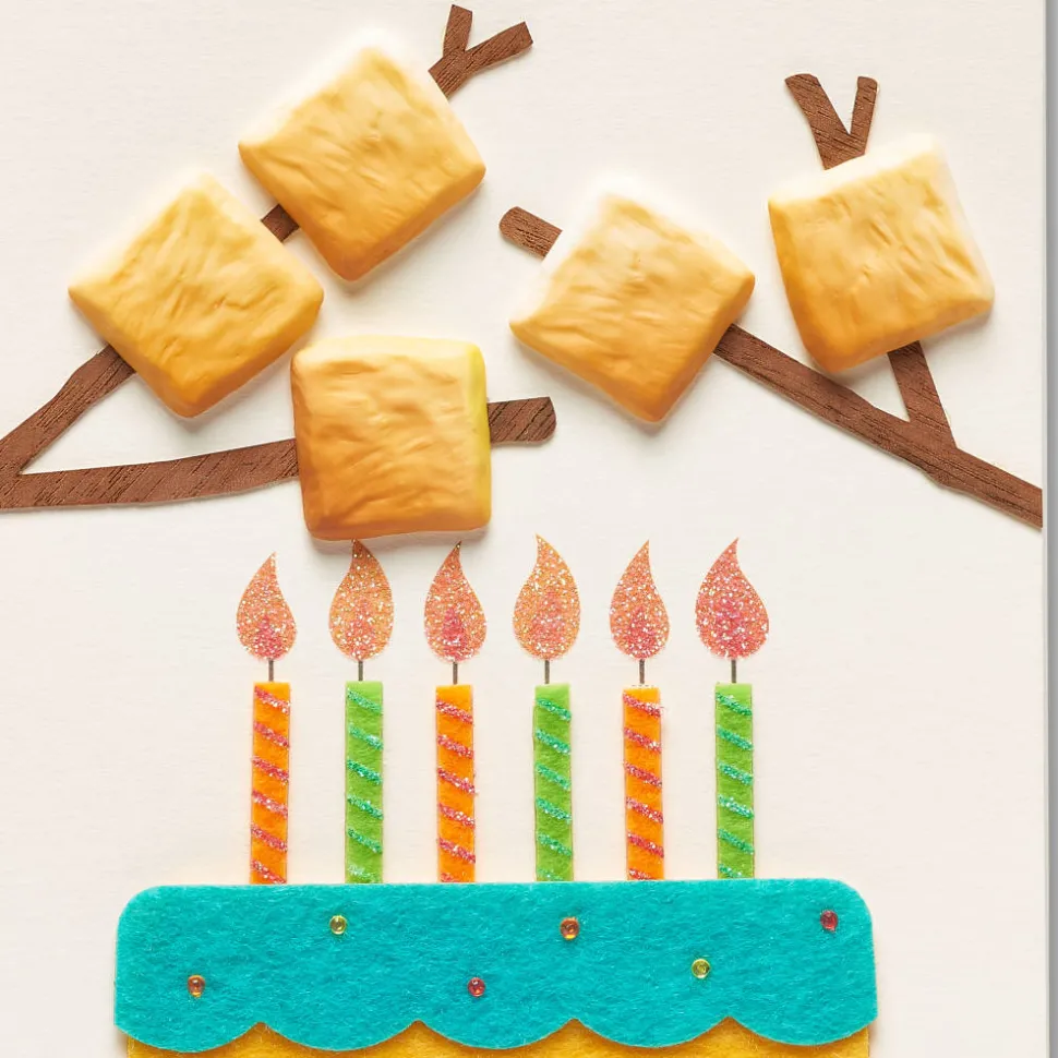 S’more and S’more Birthday Greeting Card