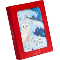 Snowy Owl Holiday Boxed Cards, 14-Count