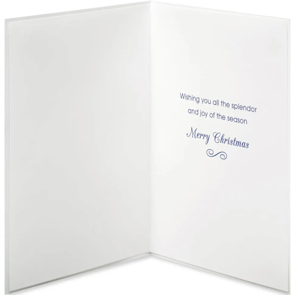 Splendor and Joy of the Season Christmas Greeting Card