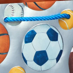 Sports 13″ Large Gift Bag, 1 Bag