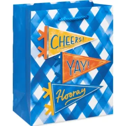 Sports Pennants 9″ Medium Gift Bag, 1 Bag