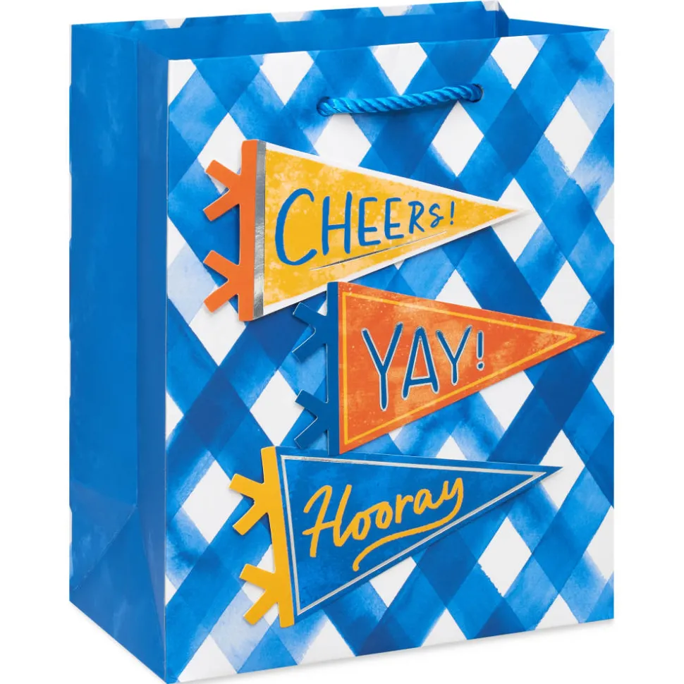 Sports Pennants 9″ Medium Gift Bag, 1 Bag