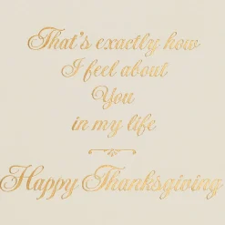 Thankful for You in My Life Thanksgiving Greeting Card