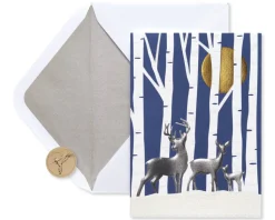 Thinking of You with Warmest Wishes Holiday Boxed Cards, 12-Count