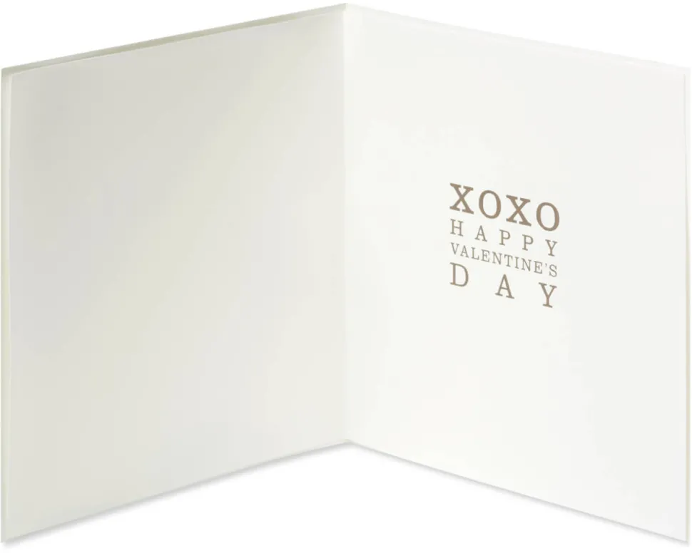 T-Rex Funny Cute Valentine’s Day Greeting Card