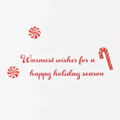 Warmest Wishes Christmas Boxed Cards with Envelopes – Designed by Bella Pilar, 20-Count
