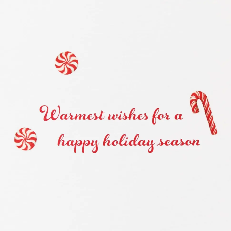 Warmest Wishes Christmas Boxed Cards with Envelopes – Designed by Bella Pilar, 20-Count