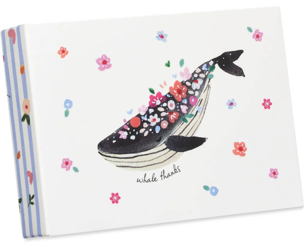 Whale Thanks Thank You Note Cards with Envelopes, 14-Count
