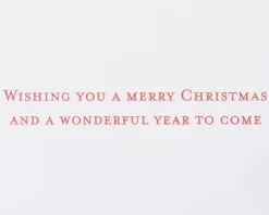 Wonderful Year to Come Christmas Greeting Card