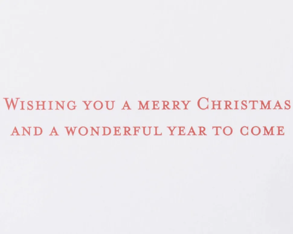 Wonderful Year to Come Christmas Greeting Card