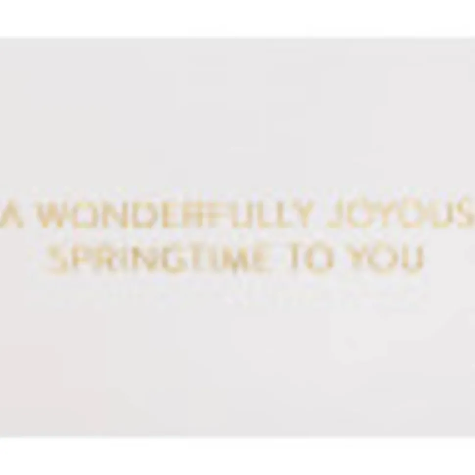 Wonderfully Joyous Springtime Easter Greeting Card