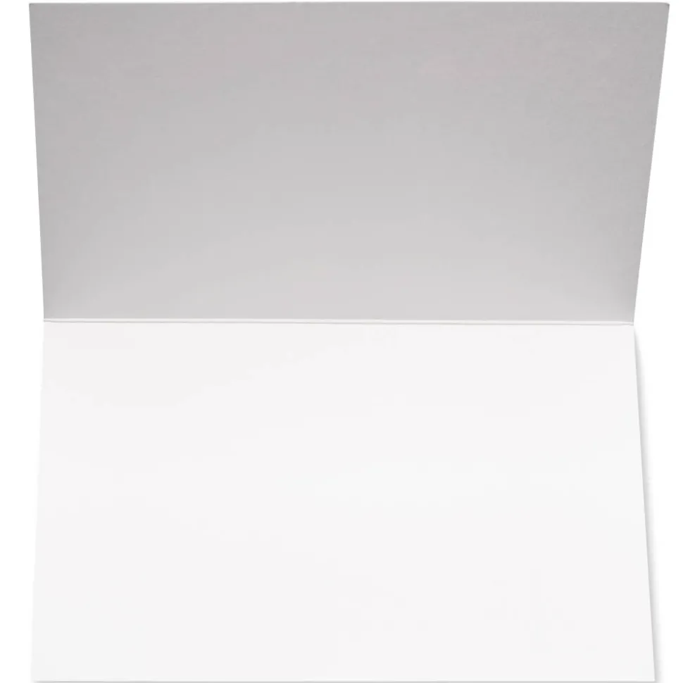 Woodland Thank You Holiday Boxed Cards, 12-Count